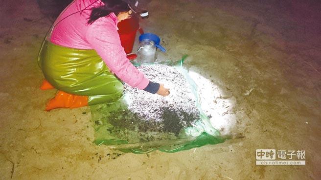 寒流来袭 鳗鱼捕捞产值可望突破9000万(图)