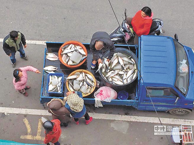 台寒害农损7.7亿破11年记录 养殖业最惨菜价猛涨