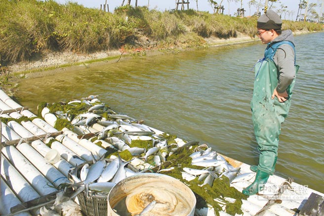 台寒害农损7.7亿破11年记录 养殖业最惨菜价猛涨