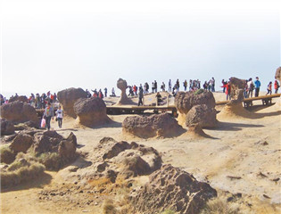 5月赴台大陆游客团剧减