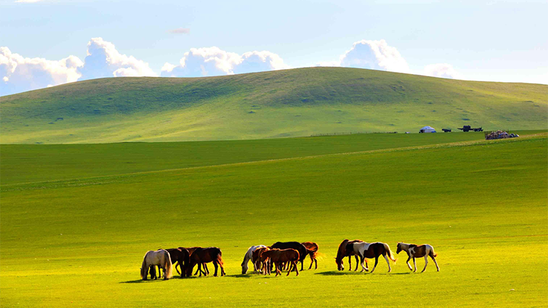  Inner Mongolia. png
