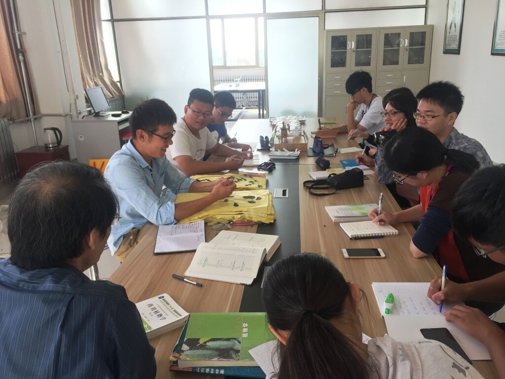 2016年威台文化交流取得显著成效 2016年威台文化交流取得显著成效