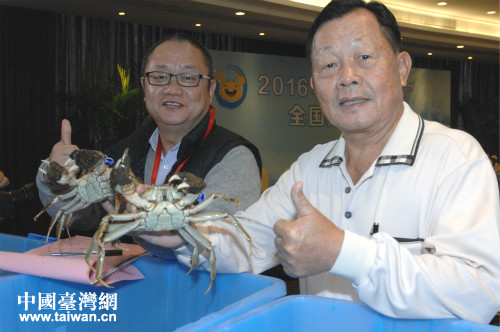 苗栗县原县长刘政鸿(右)作为评审专家前来参加优质大闸蟹评比活动 苗栗县原县长刘政鸿(右)作为评审专家前来参加优质大闸蟹评比活动