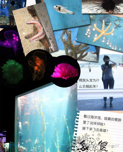 手绘版成都-台湾吃喝游地图