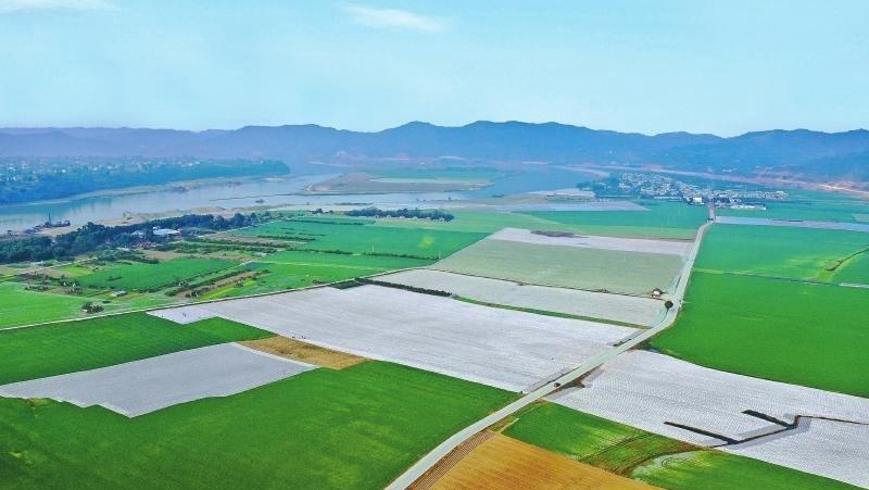 2020年四川粮食产量突破700亿斤