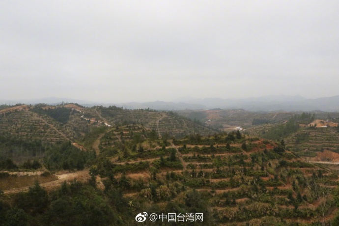 ��̨�츱���������뿼�춨���Ͳ��ҵ