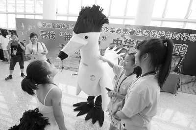 两岸携手保护“神话之鸟”中华凤头燕鸥 两岸携手保护“神话之鸟”中华凤头燕鸥