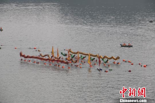 图为游泳爱好者在水中耍起长龙,在江面上做出各种蜿蜒前进的姿态。 图为游泳爱好者在水中耍起长龙,在江面上做出各种蜿蜒前进的姿态。