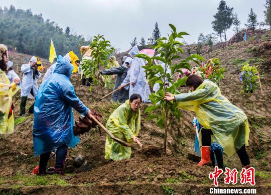 海峡两岸各界妇女福州共植&ldquo;巾帼林&rdquo;