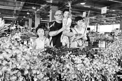 ̨���ƹ㡰�Ի����㡱��Ԫ����ͼ��