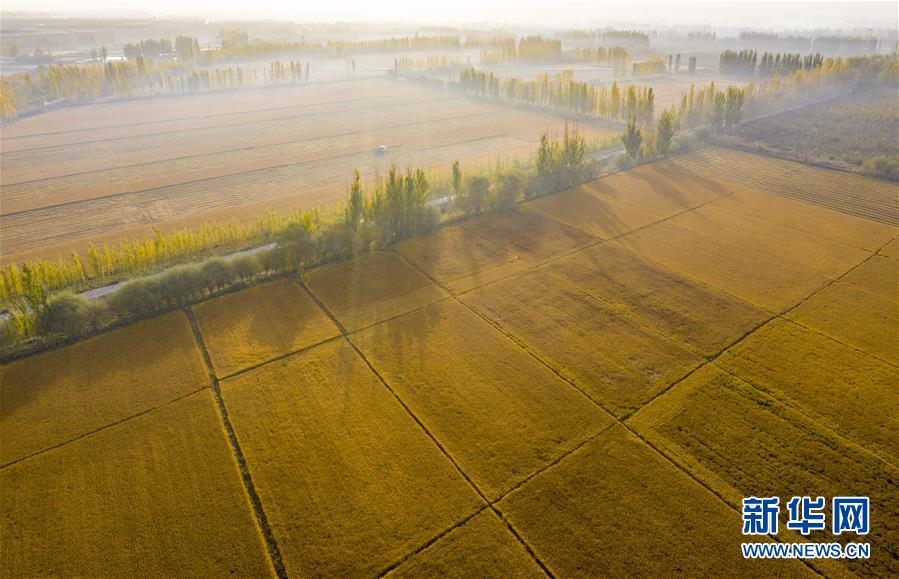 �����ã���4����ɽ���µ�����