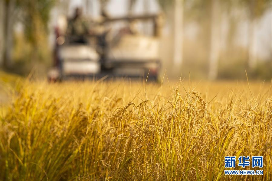 �����ã���5����ɽ���µ�����