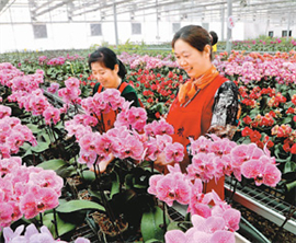 ̨������ �½�����