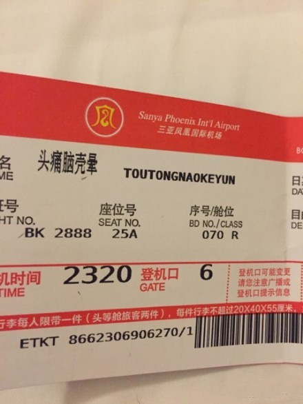 男子用网名 头痛脑壳晕 成功购机票 无法登机(