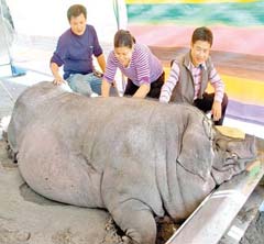 河北保定大王店工业园区设立台商产业园