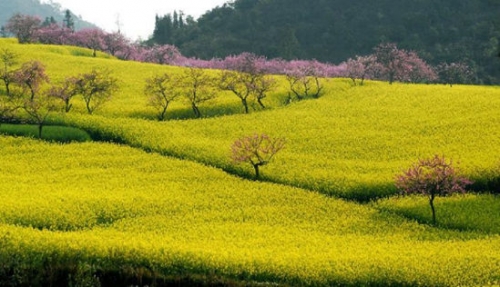不仅仅是扬州 最适合春季旅游的八大城市