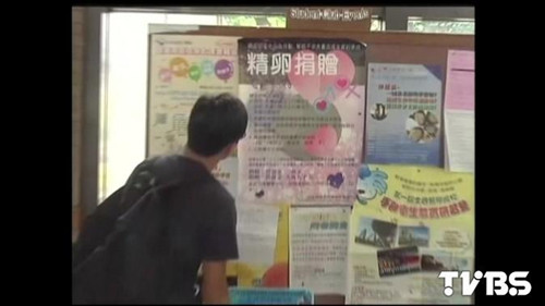 台湾捐卵人数增至500人一人最多可得2万营养费