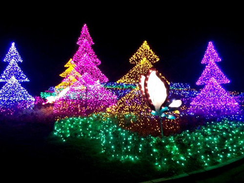 台湾北海岸展缤纷圣诞灯饰 打造冬日秘密花园 台湾北海岸展缤纷圣诞灯饰 打造冬日秘密花园