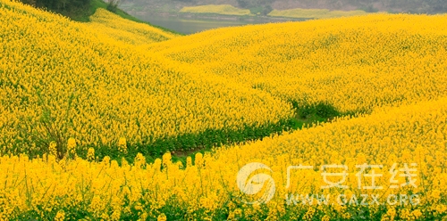 �Ͳ˻�������ؽ�� ȥ�Ĵ��㰲�����Υ�����֮�ã�