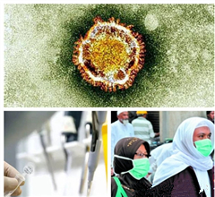 MERSӦԤ ר:ɷɿزؿֻ