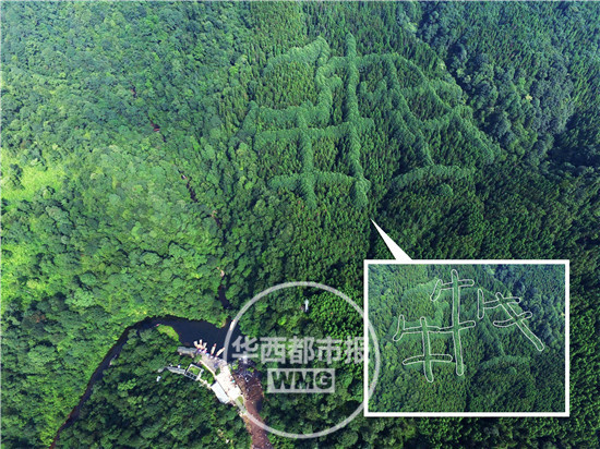 成都山区现神秘“犇”字形图案 原因成谜