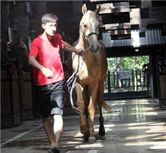 Ͽߡһһ·½СιۺѪչʾ