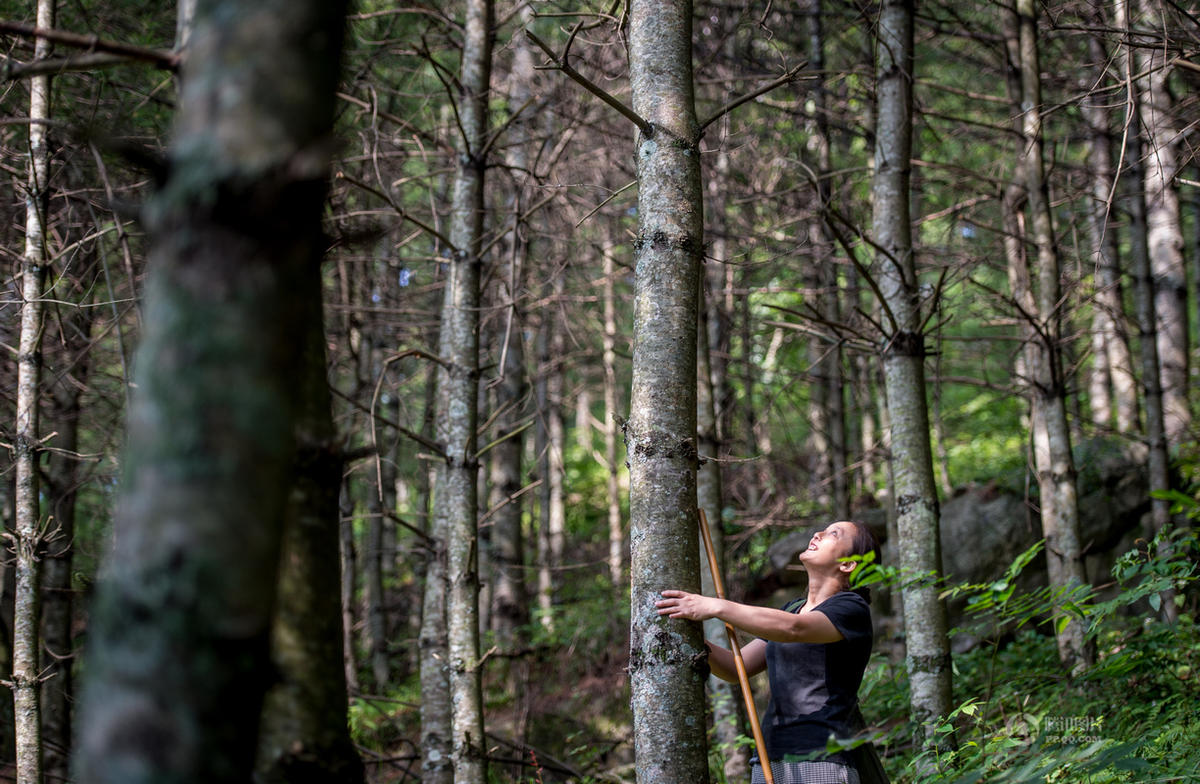 ����������ɽ18�� �ػ���Ķɭ��