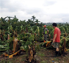 ̨硰յޡɨǫ̈̄ ũҵʧ6ڻ