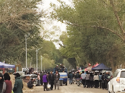 青海野生黑枸杞身价飞涨 1斤被炒至上万元