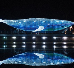 2015йϪۼҵƻᡱϿĻ