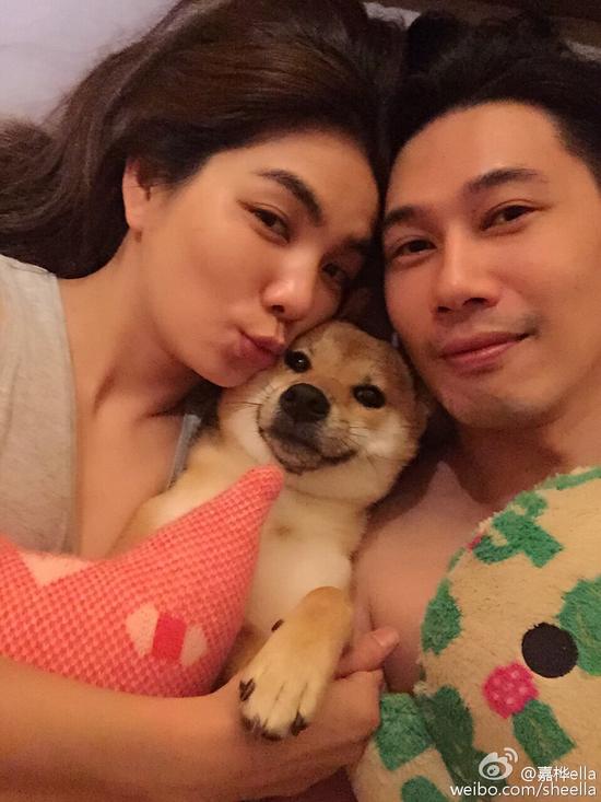 Ella夫妇与宠物狗的“全家福” Ella夫妇与宠物狗的“全家福”