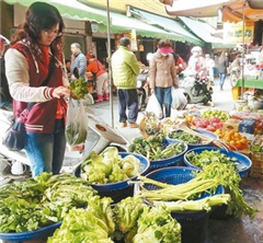 �����²˼���� ̨��������������족