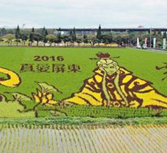 ����3d����