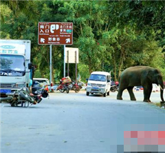 ��˫����Ұ���١���֡� �����οͳ�������Ұ���