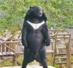 ̨һܡվ̫һϦ 飨ͼ