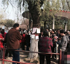 �ϲ��֡���ĸ�����ס�����