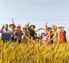 U����ٰ조������������