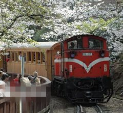 ����ɽɭ����·20�������״��Ǽ� �����1��