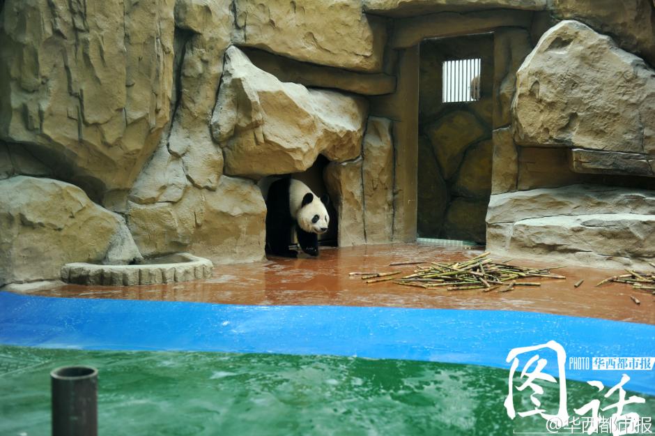 �ɶ�����԰����è�������լ�� ��ɽ��ˮ�пյ�