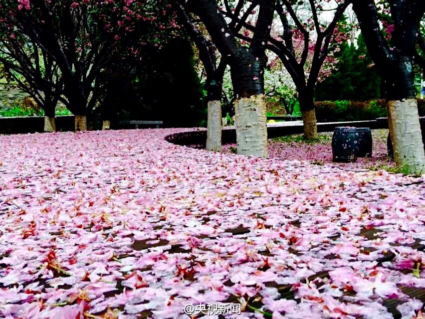 8�����Ϯ������ ��������������ӣ��