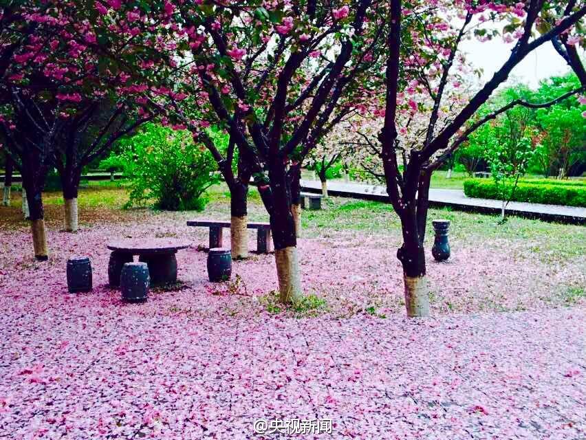 8�����Ϯ������ ��������������ӣ��