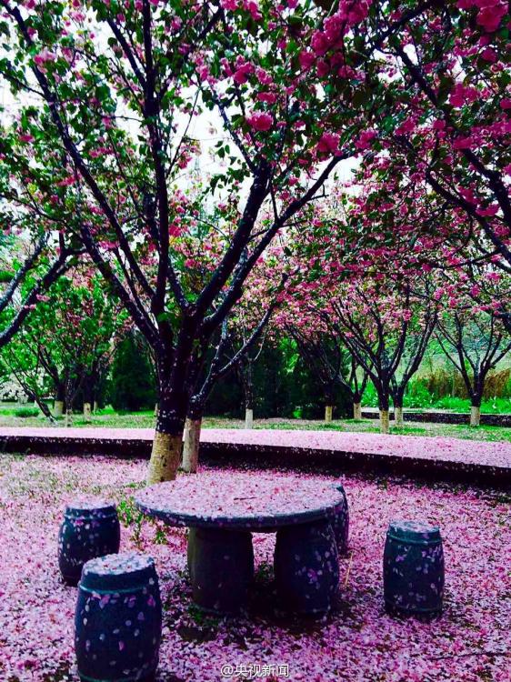 8�����Ϯ������ ��������������ӣ��