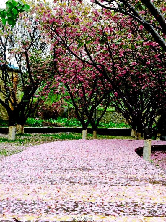 8�����Ϯ������ ��������������ӣ��