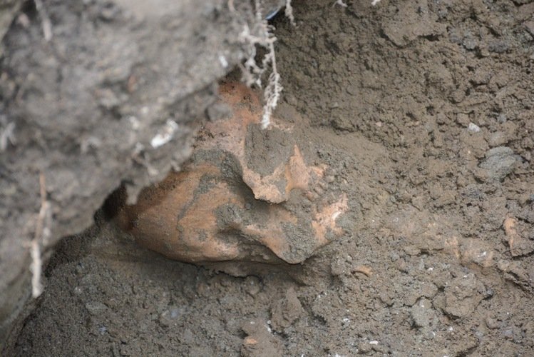 ̨�廨����ˮ���ڳ�ǧ��Ǻ���ͼ��