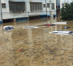 ���ϵ�����������ͱ���Ϯ�� ������û��