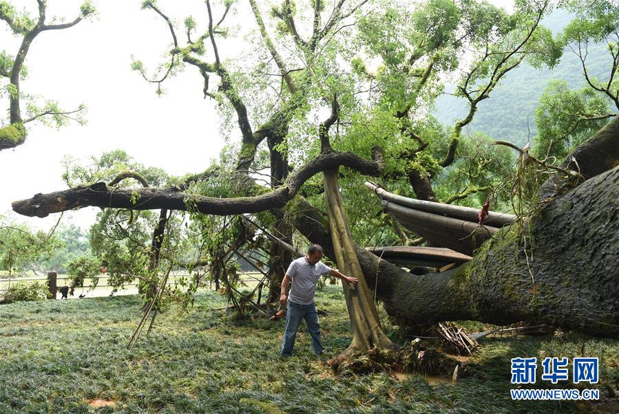 ������˷������������ ǧ��������۶϶����֦