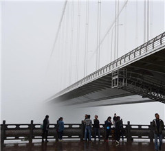 �����������ű����