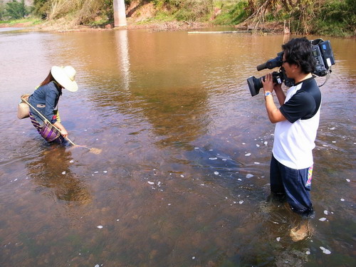 ̨����������̨����˫�����������Ŀ