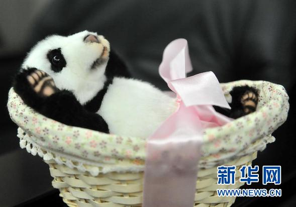 ����ᣩ��2����½��̨����è������Բ�С�������ȨӪ��ʹ��