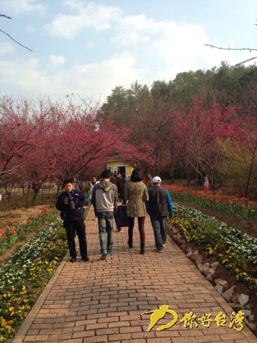 台商张秋琳 台商张秋琳